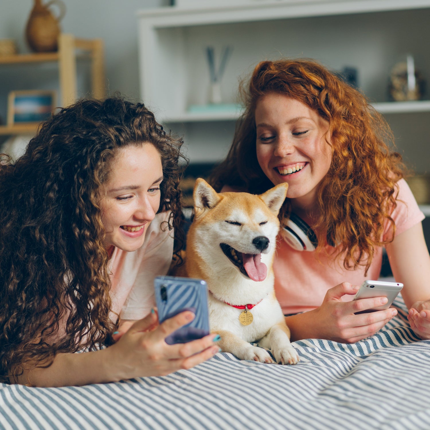 Pet-Friendly Living